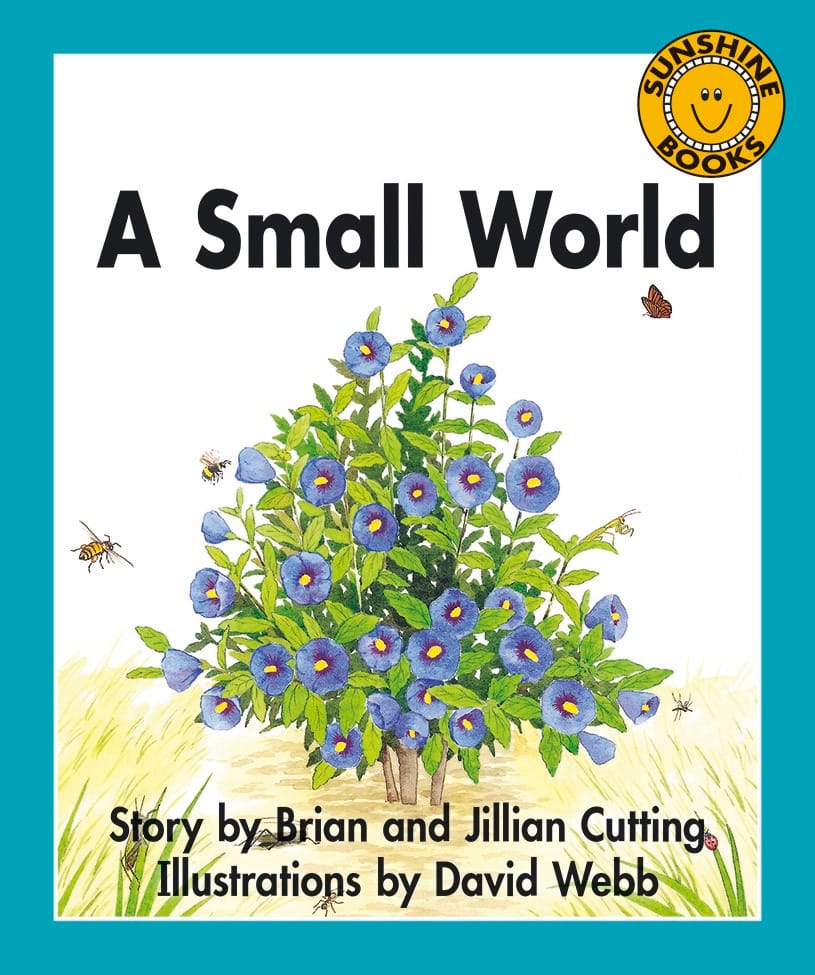 A Small World