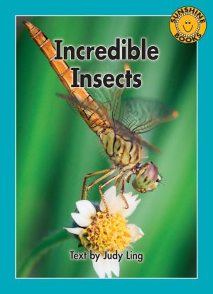 Incredible Insects