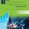 LG 91399 The Efficiency of Market Equilibrium Learning Guide