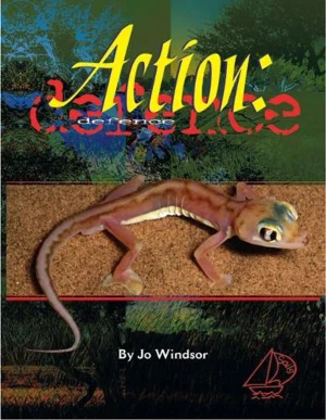 Action:  Defence - (Mainsails Series)