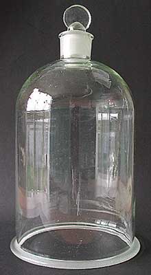 Bell Jar With Knob
