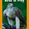 Birds of Prey