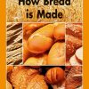 How Bread is Made