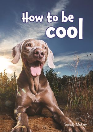 How to be cool