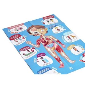 Hape Human Body Puzzle - Image 2