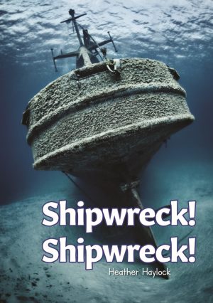 Shipwreck! Shipwreck!