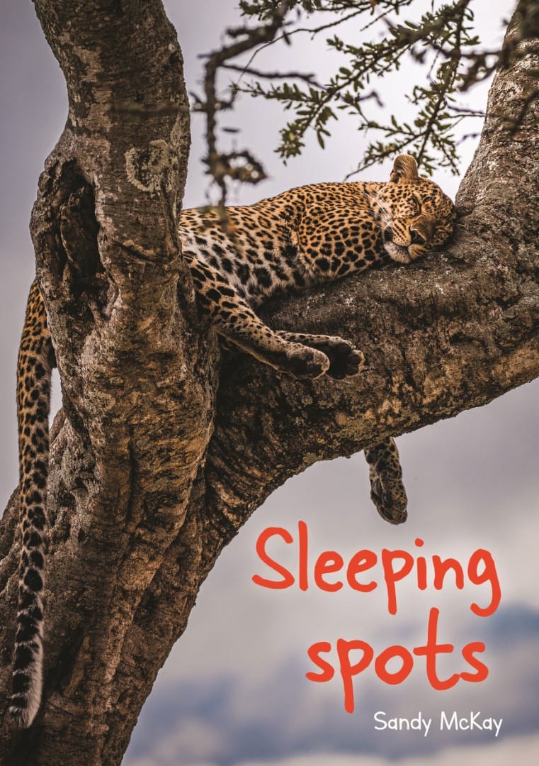 Sleeping spots