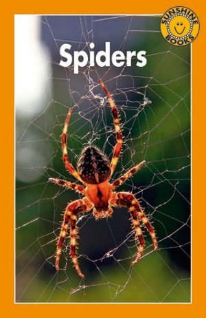 Spiders