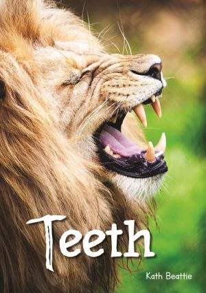 Teeth