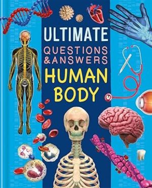 Ultimate Questions and Answers - Human Body