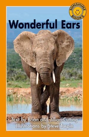 Wonderful Ears