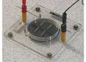 Electric Field Apparatus