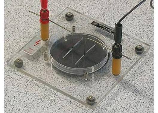Electric Field Apparatus